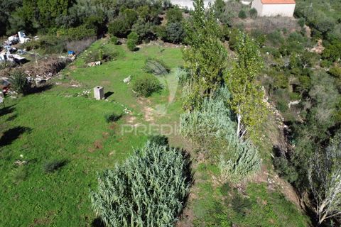 Helårsgrund i Ourem, Santarem, Ourem - € 120.000 | Ref: 056130 - foto 22