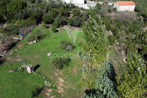 Helårsgrund i Ourem, Santarem, Ourem - € 120.000 | Ref: 056130 - foto 23