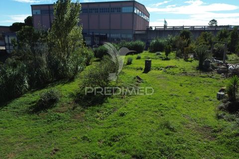 Helårsgrund i Ourem, Santarem, Ourem - € 120.000 | Ref: 056130 - foto 26