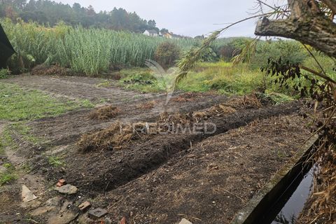 Ruinere i Abrantes, Santarem, Abrantes - € 17.500 | Ref: 056506 - foto 5