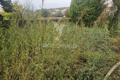 Ruinere i Abrantes, Santarem, Abrantes - € 17.500 | Ref: 056506 - foto 6