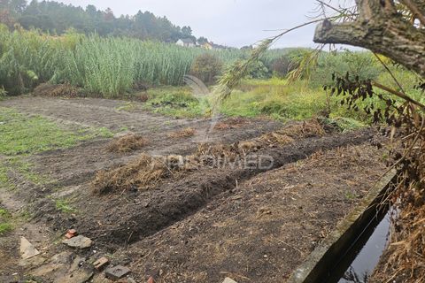 Ruinere i Abrantes, Santarem, Abrantes - € 17.500 | Ref: 056506 - foto 7