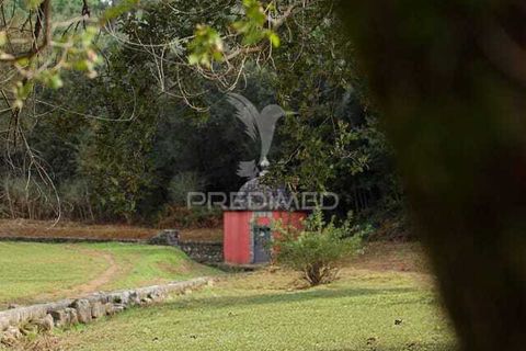 Lejlighed i Braga, Braga, Braga - € 399.000 | Ref: 056593 - foto 12