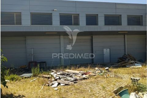 Erhvervsejendom i Agueda, Aveiro, Agueda - € 330.750 | Ref: 056771 - foto 2