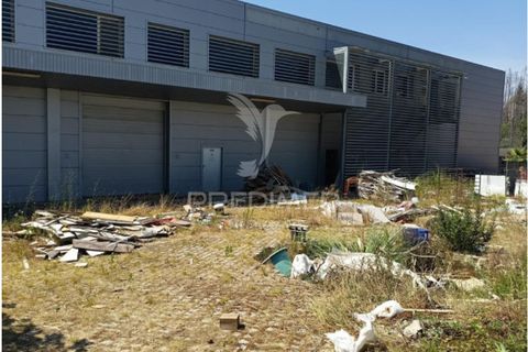 Erhvervsejendom i Agueda, Aveiro, Agueda - € 330.750 | Ref: 056771 - foto 3