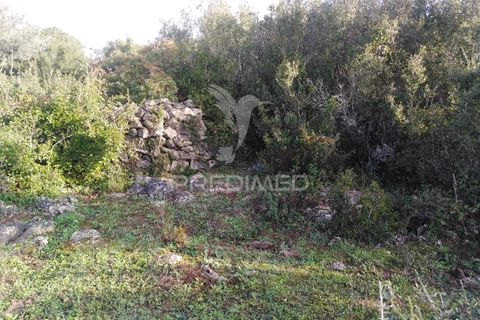 Terra a Alcanena, Santarem, Alcanena - € 13.500 | Ref: 057332 - foto 14