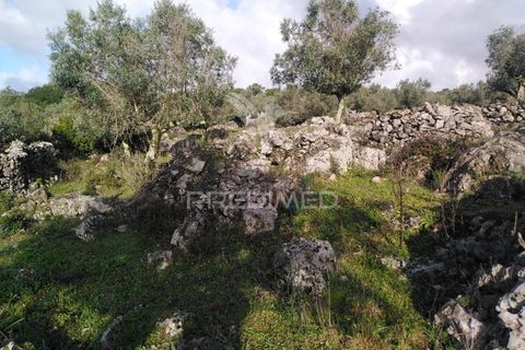 Terra a Alcanena, Santarem, Alcanena - € 13.500 | Ref: 057332 - foto 17