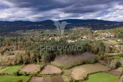 Helårsgrund i Vila Verde, Braga, Vila Verde - € 57.000 | Ref: 057333 - foto 29
