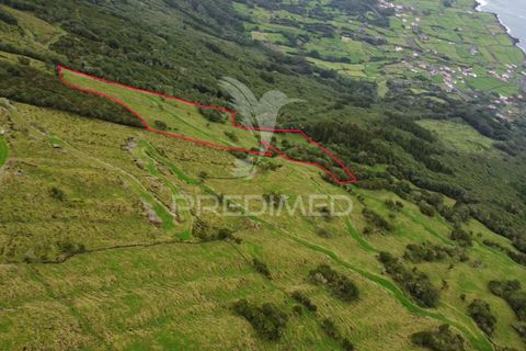 Helårsgrund i Sao Roque do Pico, Pico, Sao Roque do Pico - € 40.000 | Ref: 057786 - foto 1
