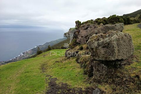 Helårsgrund i Sao Roque do Pico, Pico, Sao Roque do Pico - € 40.000 | Ref: 057786 - foto 3