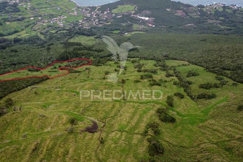 Helårsgrund i Sao Roque do Pico, Pico, Sao Roque do Pico - € 40.000 | Ref: 057786 - foto 4
