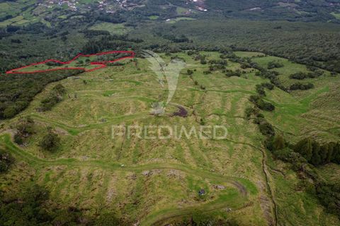 Helårsgrund i Sao Roque do Pico, Pico, Sao Roque do Pico - € 40.000 | Ref: 057786 - foto 5