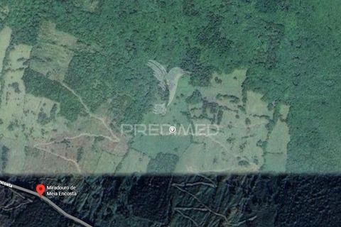 Helårsgrund i Sao Roque do Pico, Pico, Sao Roque do Pico - € 40.000 | Ref: 057786 - foto 6