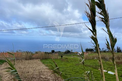 Helårsgrund i Calheta, Madeira, Calheta - € 110.000 | Ref: 057820 - foto 2