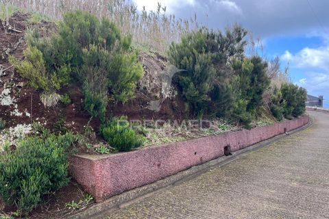 Helårsgrund i Calheta, Madeira, Calheta - € 110.000 | Ref: 057820 - foto 5