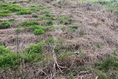 Helårsgrund i Calheta, Madeira, Calheta - € 110.000 | Ref: 057820 - foto 7