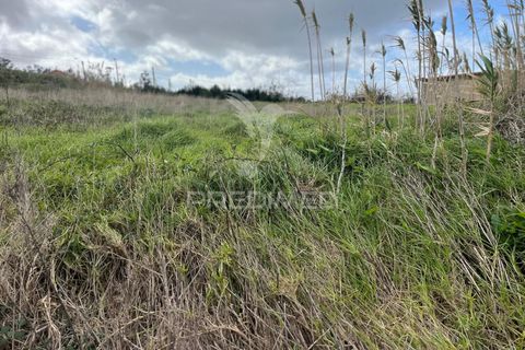 Helårsgrund i Calheta, Madeira, Calheta - € 110.000 | Ref: 057820 - foto 8