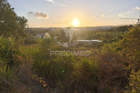 Helårsgrund i Oeiras, Lisbon, Oeiras - € 500.000 | Ref: 057900 - foto 3