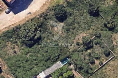Helårsgrund i Oeiras, Lisbon, Oeiras - € 500.000 | Ref: 057900 - foto 2