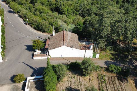 Byhus i Portalegre, Portalegre, Portalegre - € 110.000 | Ref: 058127 - foto 17