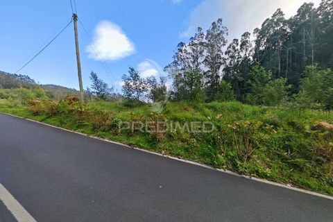 Helårsgrund i Machico, Madeira, Machico - € 42.000 | Ref: 058282 - foto 1