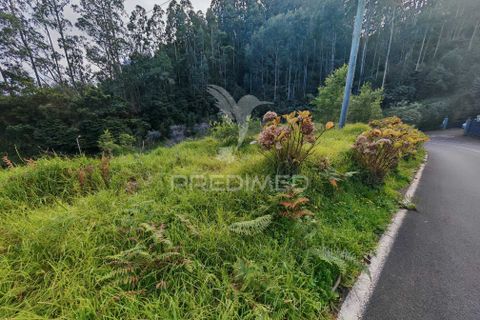 Helårsgrund i Machico, Madeira, Machico - € 42.000 | Ref: 058282 - foto 2