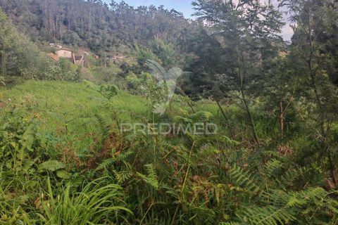 Helårsgrund i Machico, Madeira, Machico - € 42.000 | Ref: 058282 - foto 3