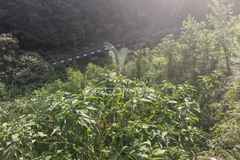 Helårsgrund i Machico, Madeira, Machico - € 42.000 | Ref: 058282 - foto 4