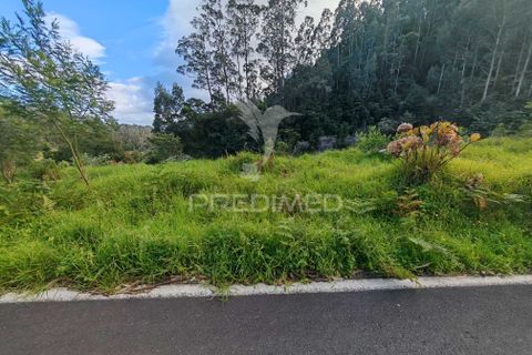 Helårsgrund i Machico, Madeira, Machico - € 42.000 | Ref: 058282 - foto 5