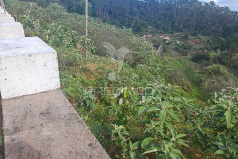 Helårsgrund i Machico, Madeira, Machico - € 42.000 | Ref: 058282 - foto 6