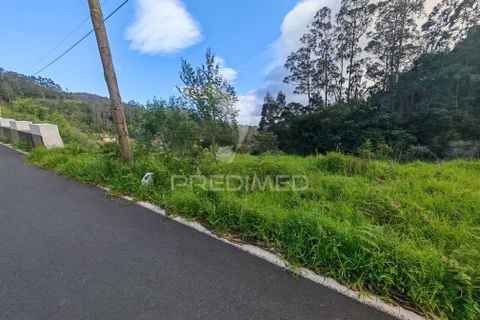 Helårsgrund i Machico, Madeira, Machico - € 42.000 | Ref: 058282 - foto 7