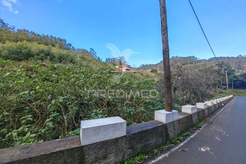 Helårsgrund i Machico, Madeira, Machico - € 42.000 | Ref: 058282 - foto 8