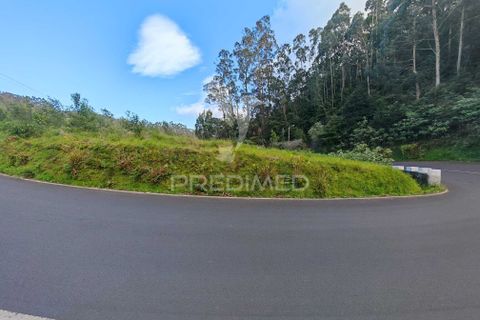 Helårsgrund i Machico, Madeira, Machico - € 42.000 | Ref: 058282 - foto 9