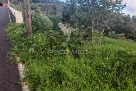 Helårsgrund i Machico, Madeira, Machico - € 42.000 | Ref: 058282 - foto 10