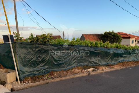 Helårsgrund i Ponta do Sol, Madeira, Ponta do Sol - € 180.000 | Ref: 058333 - foto 2