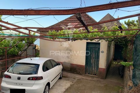 Helårsgrund i Ponta do Sol, Madeira, Ponta do Sol - € 180.000 | Ref: 058333 - foto 5