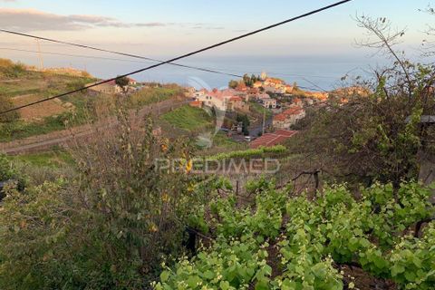 Helårsgrund i Ponta do Sol, Madeira, Ponta do Sol - € 180.000 | Ref: 058333 - foto 7