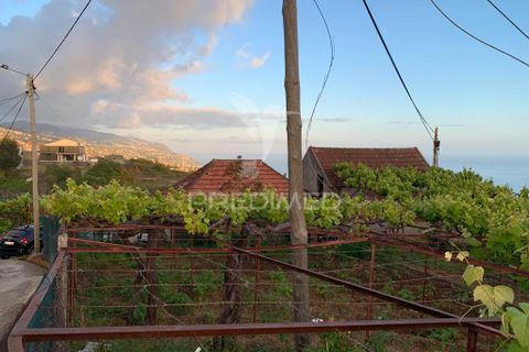 Helårsgrund i Ponta do Sol, Madeira, Ponta do Sol - € 180.000 | Ref: 058333 - foto 8