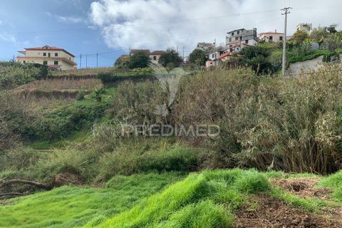 Helårsgrund i Ponta do Sol, Madeira, Ponta do Sol - € 180.000 | Ref: 058333 - foto 9