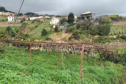 Helårsgrund i Ponta do Sol, Madeira, Ponta do Sol - € 180.000 | Ref: 058333 - foto 10