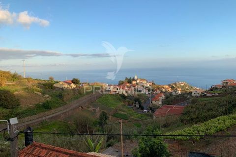 Helårsgrund i Ponta do Sol, Madeira, Ponta do Sol - € 180.000 | Ref: 058333 - foto 11
