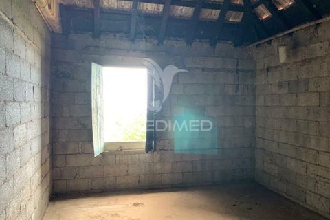 Helårsgrund i Ponta do Sol, Madeira, Ponta do Sol - € 180.000 | Ref: 058333 - foto 14