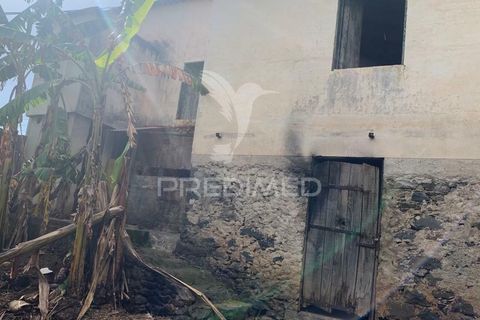 Helårsgrund i Ponta do Sol, Madeira, Ponta do Sol - € 180.000 | Ref: 058333 - foto 17