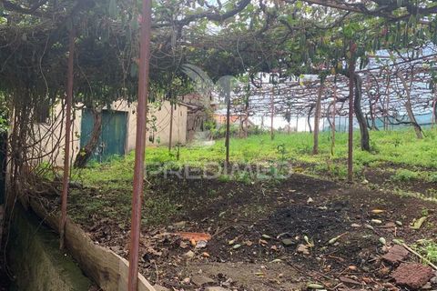 Helårsgrund i Ponta do Sol, Madeira, Ponta do Sol - € 180.000 | Ref: 058333 - foto 18