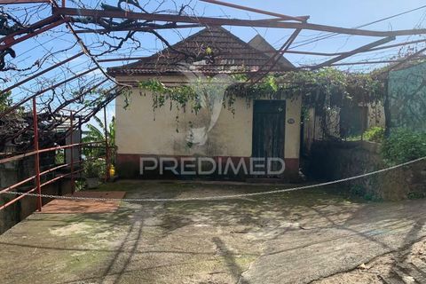 Helårsgrund i Ponta do Sol, Madeira, Ponta do Sol - € 180.000 | Ref: 058333 - foto 20