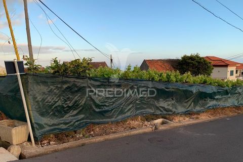 Helårsgrund i Ponta do Sol, Madeira, Ponta do Sol - € 180.000 | Ref: 058333 - foto 21