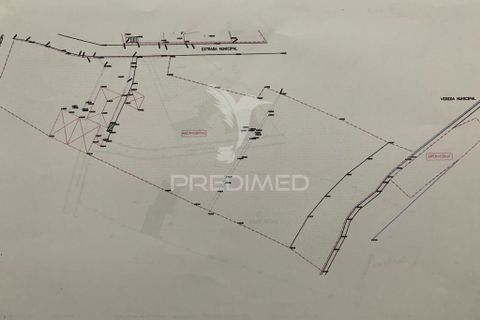 Helårsgrund i Ponta do Sol, Madeira, Ponta do Sol - € 180.000 | Ref: 058333 - foto 22