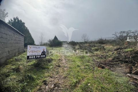 Terra a Penedono, Viseu, Penedono - € 25.000 | Ref: 058345 - foto 2
