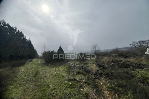 Terra a Penedono, Viseu, Penedono - € 25.000 | Ref: 058345 - foto 3