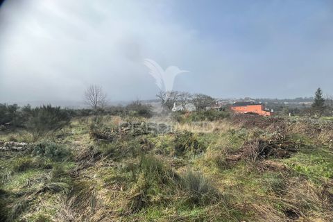Terra a Penedono, Viseu, Penedono - € 25.000 | Ref: 058345 - foto 4
